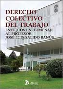 Derecho colectivo del trabajo