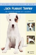 Jack Russell Terrier