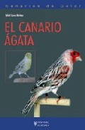 El canario �gata