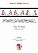 Protecci�n de los derechos fundamentales en la Uni�n Europea y en los estados miembros