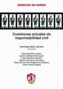 Cuestiones actuales de reponsabilidad civil