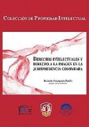 Derechos intelectuales y derecho a la imagen en la jurisprudencia comparada 
