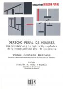 Derecho penal de menores