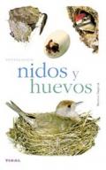 Nidos y huevos