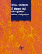 El proceso civil en esquemas