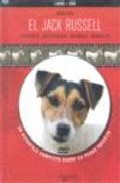 El Jack Russell terrier