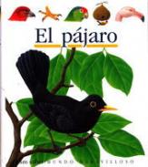 El p�jaro