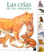 Las cr�as de los animales