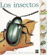 Los insectos