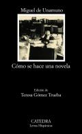 C�mo se hace una novela