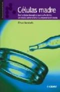C�lulas madre