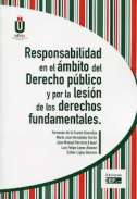 Responsabilidad en el �mbito del derecho p�blico y por la lesi�n de los derechos fundamentales