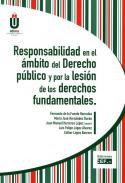 Responsabilidad en el �mbito del derecho p�blico y por la lesi�n de los derechos fundamentales