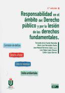 Responsabilidad en el �mbito del derecho p�blico por la lesi�n de los derechos fundamentales