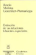 Extinci�n de las relaciones laborales especiales