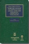 Sociedades an�nimas de responsabilidad limitada