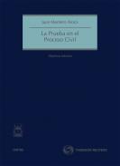 La prueba en el proceso civil