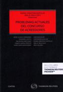 Problemas actuales del concurso de acreedores