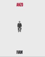 Anzo