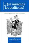 �Que miramos los auditores?