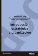 Introducci�n estrat�gica y organizaci�n