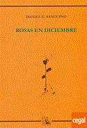 Rosas en diciembre