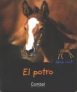 El potro