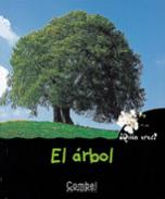 El �rbol