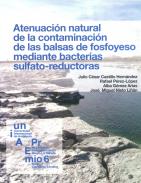 Atenuaci�n natural de la contaminaci�n de las balsas de fosfoyeso mediante bacterias sulfato-reductoras