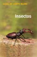 Insectos
