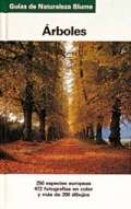 �rboles