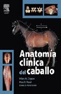 Anatom�a cl�nica del caballo