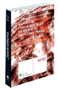 Aspectos fundamentales del derecho procesal penal