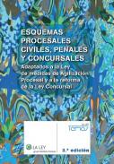 Esquemas procesales civiles, penales y concursales