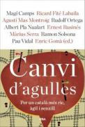 Canvi d'agulles