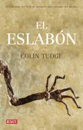 El eslab�n