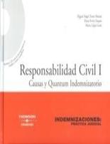 Responsabilidad civil I