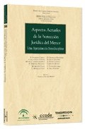 Aspectos actuales de la protecci�n jur�dica del menor