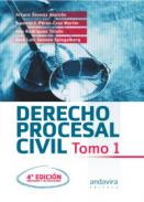 Derecho procesal civil, 1