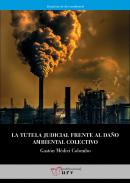 La tutela judicial frente al da�o ambiental colectivo