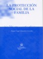 La protecci�n social de la familia