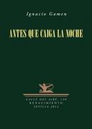 Antes que caiga la noche