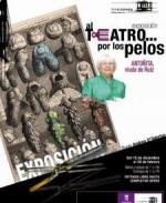 Al teatro... por los pelos