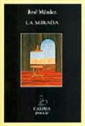 La mirada