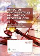 Aspectos fundamentales de derecho procesal civil