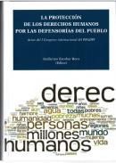 La protecci�n de los Derechos Humanos por las defensor�as del pueblo