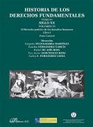 Historia de los derechos fundamentales, 4.6.1