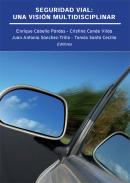 Seguridad vial