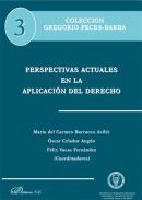 Perspectivas actuales en la aplicaci�n del Derecho