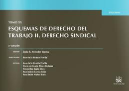 Esquemas de Derecho del trabajo, 2